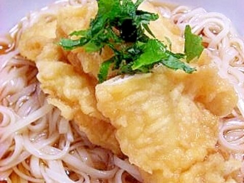 さっぱり　白身魚天とたっぷりシソの冷やし稲庭うどん